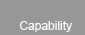 Capabilities